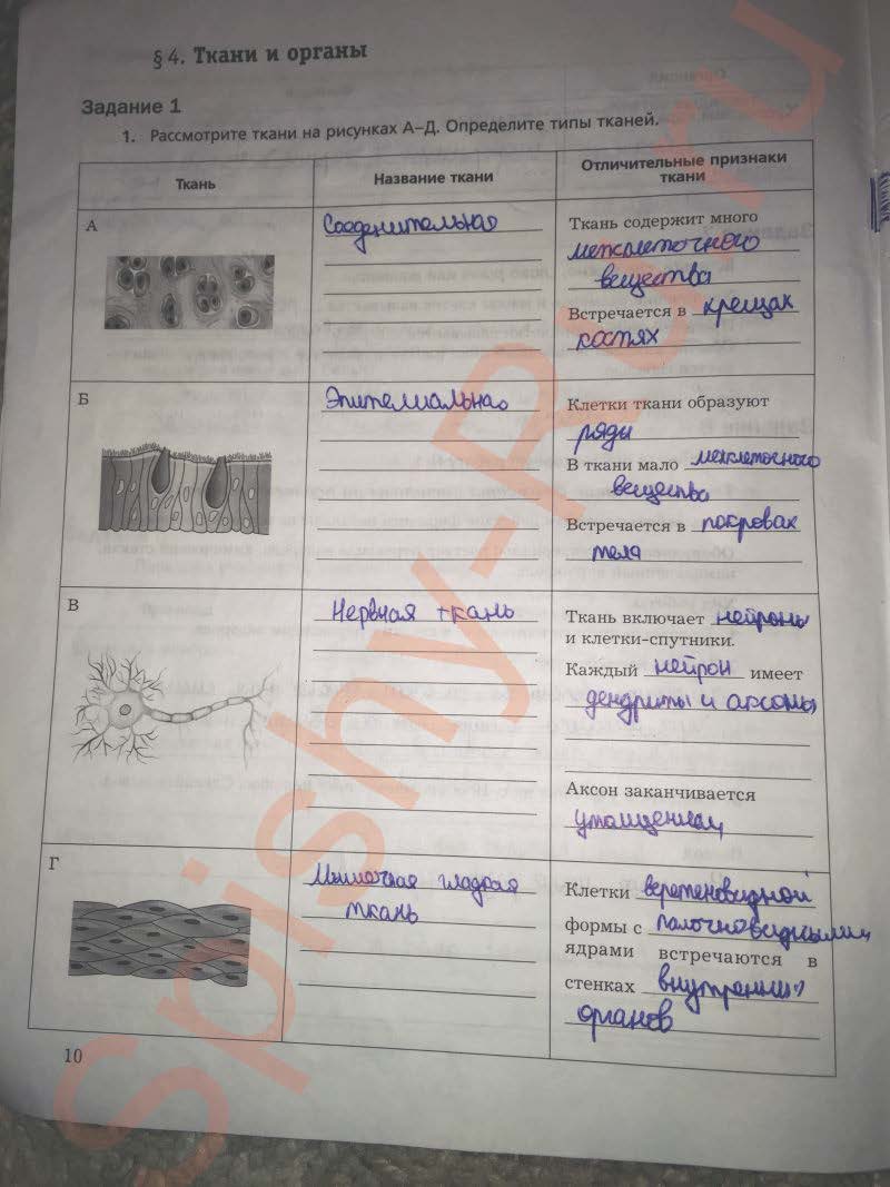 гдз 8 класс рабочая тетрадь часть 1 страница 10 биология Маш, Драгомилов