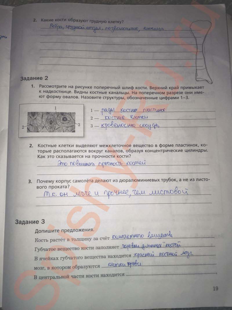 гдз 8 класс рабочая тетрадь часть 1 страница 19 биология Маш, Драгомилов
