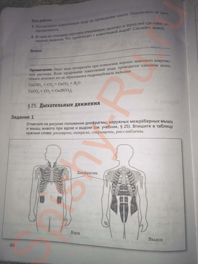 гдз 8 класс рабочая тетрадь часть 1 страница 68 биология Маш, Драгомилов