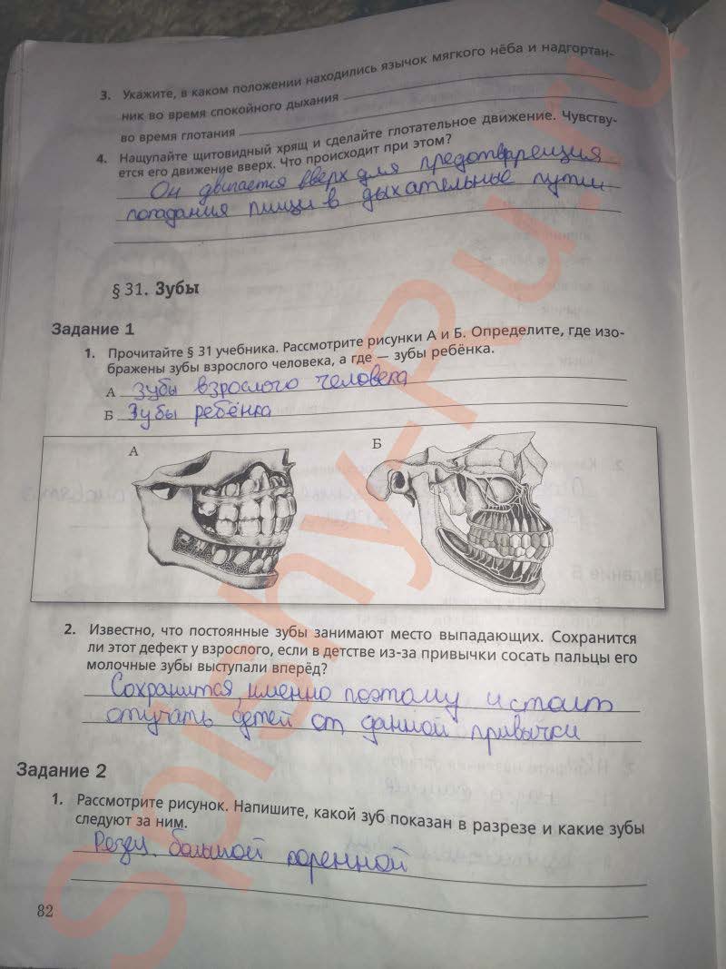 гдз 8 класс рабочая тетрадь часть 1 страница 82 биология Маш, Драгомилов