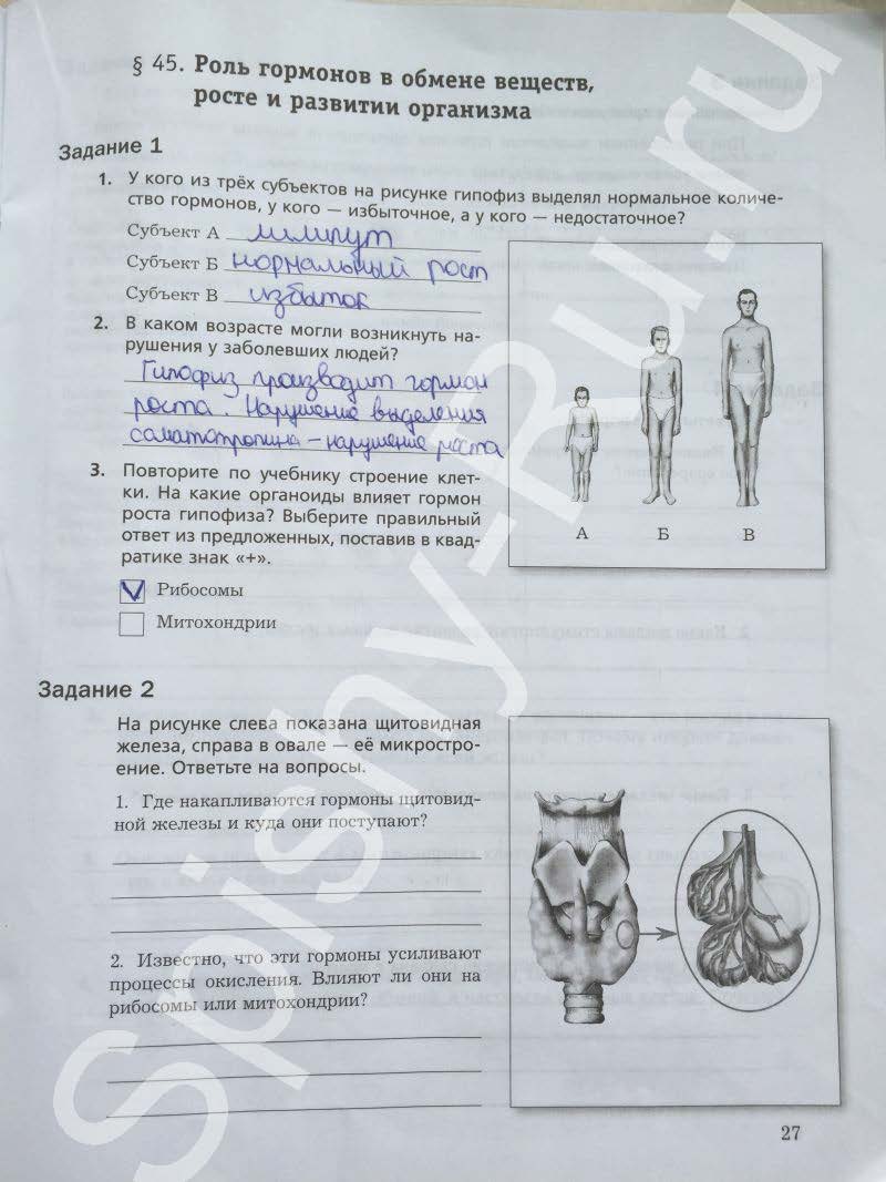 гдз 8 класс рабочая тетрадь часть 2 страница 27 биология Маш, Драгомилов