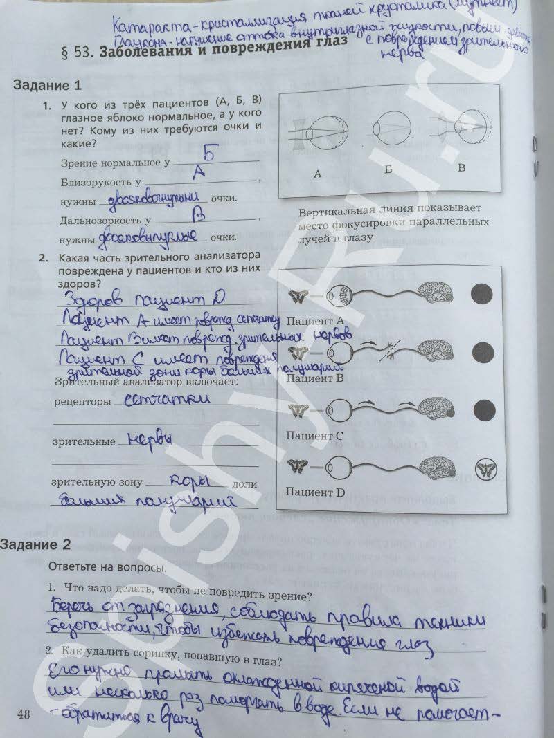 гдз 8 класс рабочая тетрадь часть 2 страница 48 биология Маш, Драгомилов