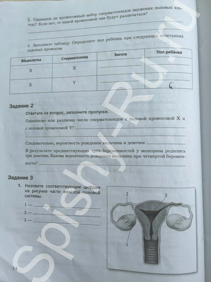 гдз 8 класс рабочая тетрадь часть 2 страница 74 биология Маш, Драгомилов