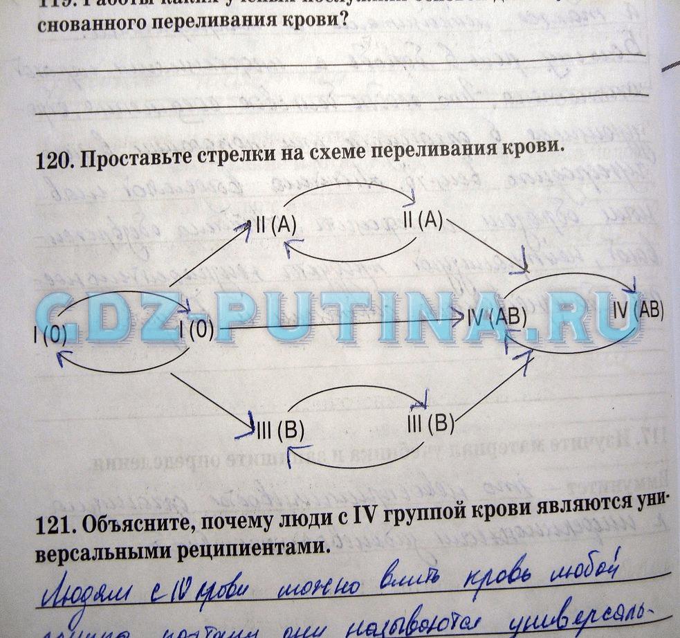гдз 8 класс рабочая тетрадь задание 120 биология Сонин, Агафонова