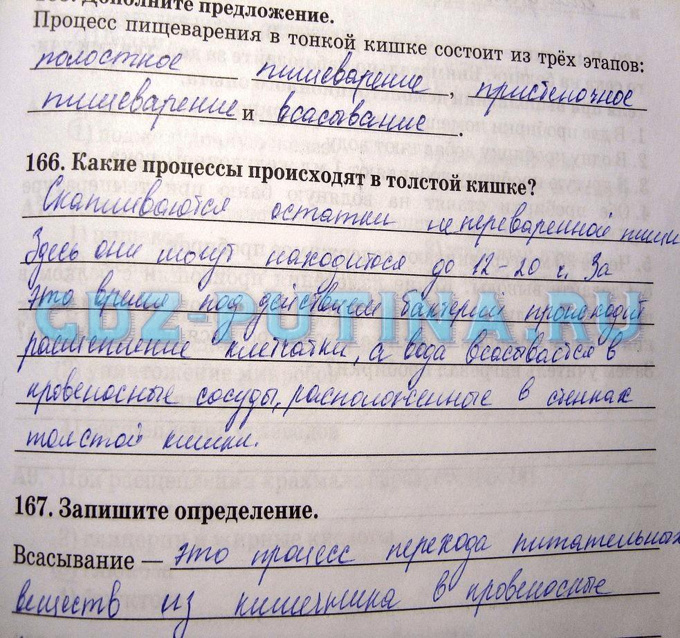 гдз 8 класс рабочая тетрадь задание 166 биология Сонин, Агафонова