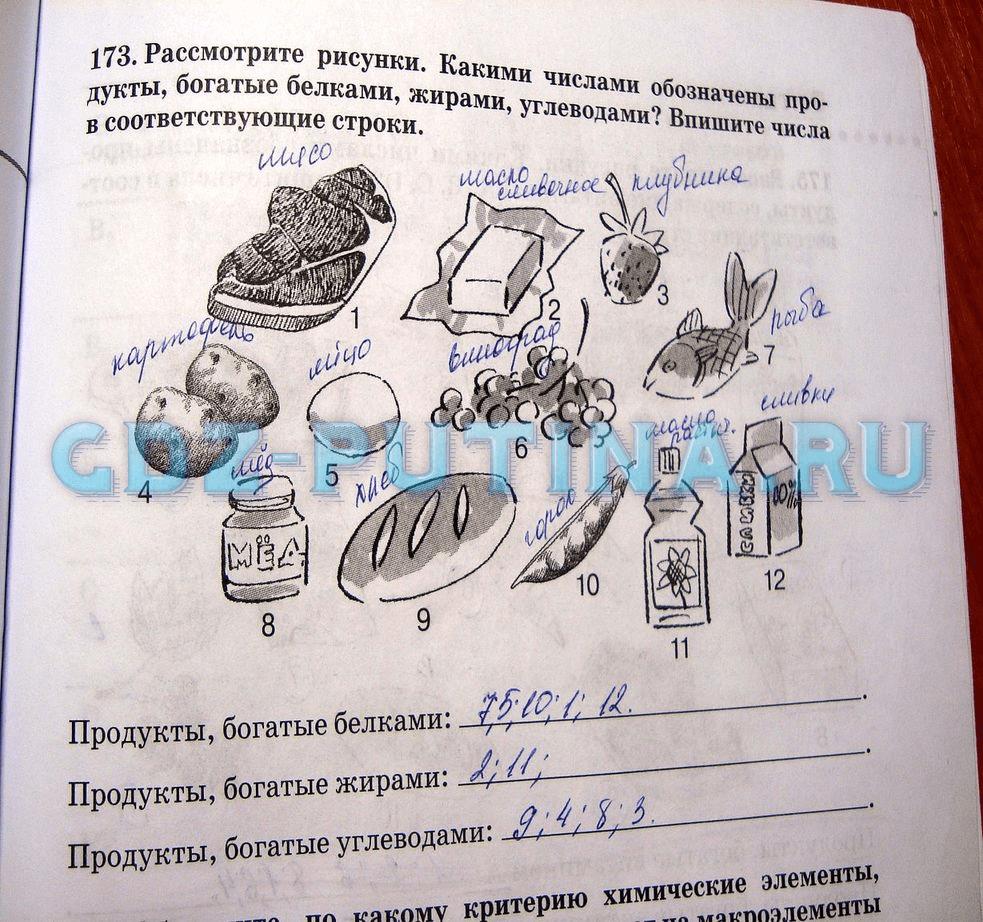 гдз 8 класс рабочая тетрадь задание 173 биология Сонин, Агафонова