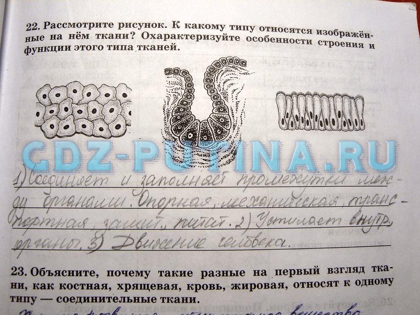гдз 8 класс рабочая тетрадь задание 22 биология Сонин, Агафонова