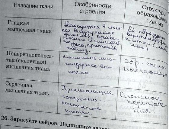гдз 8 класс рабочая тетрадь задание 25 биология Сонин, Агафонова