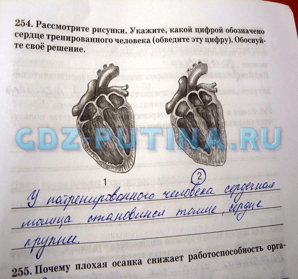 гдз 8 класс рабочая тетрадь задание 254 биология Сонин, Агафонова
