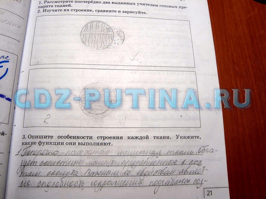 гдз 8 класс рабочая тетрадь задание 29 биология Сонин, Агафонова