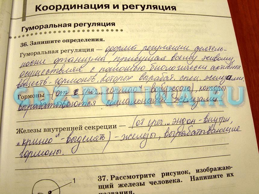 гдз 8 класс рабочая тетрадь задание 36 биология Сонин, Агафонова