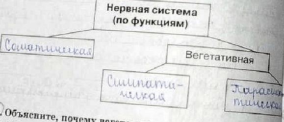 гдз 8 класс рабочая тетрадь задание 47 биология Сонин, Агафонова