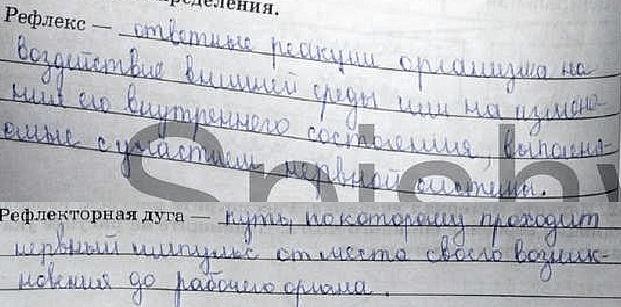 гдз 8 класс рабочая тетрадь задание 49 биология Сонин, Агафонова