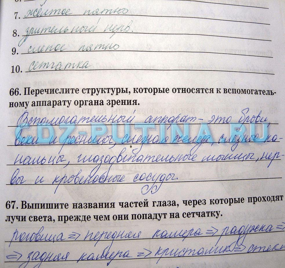 гдз 8 класс рабочая тетрадь задание 66 биология Сонин, Агафонова