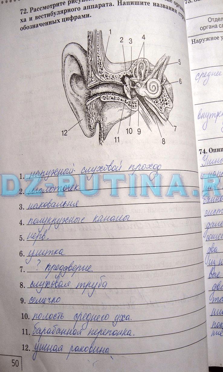 гдз 8 класс рабочая тетрадь задание 72 биология Сонин, Агафонова
