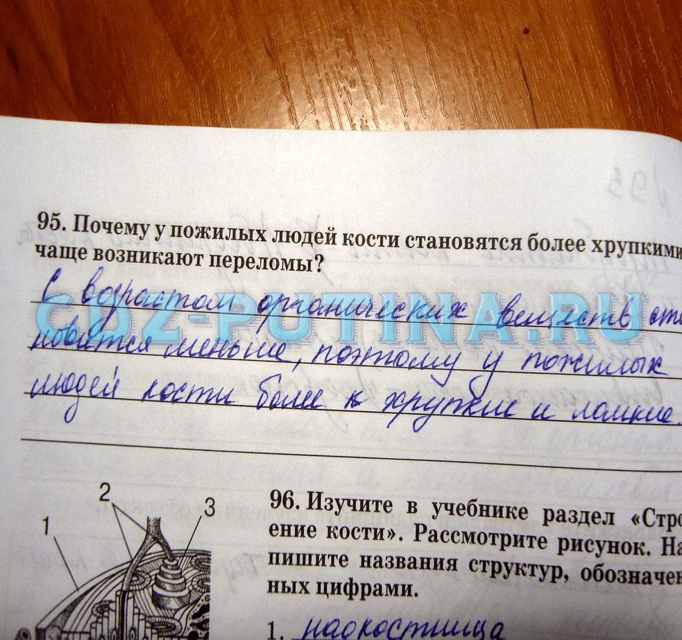 гдз 8 класс рабочая тетрадь задание 95 биология Сонин, Агафонова