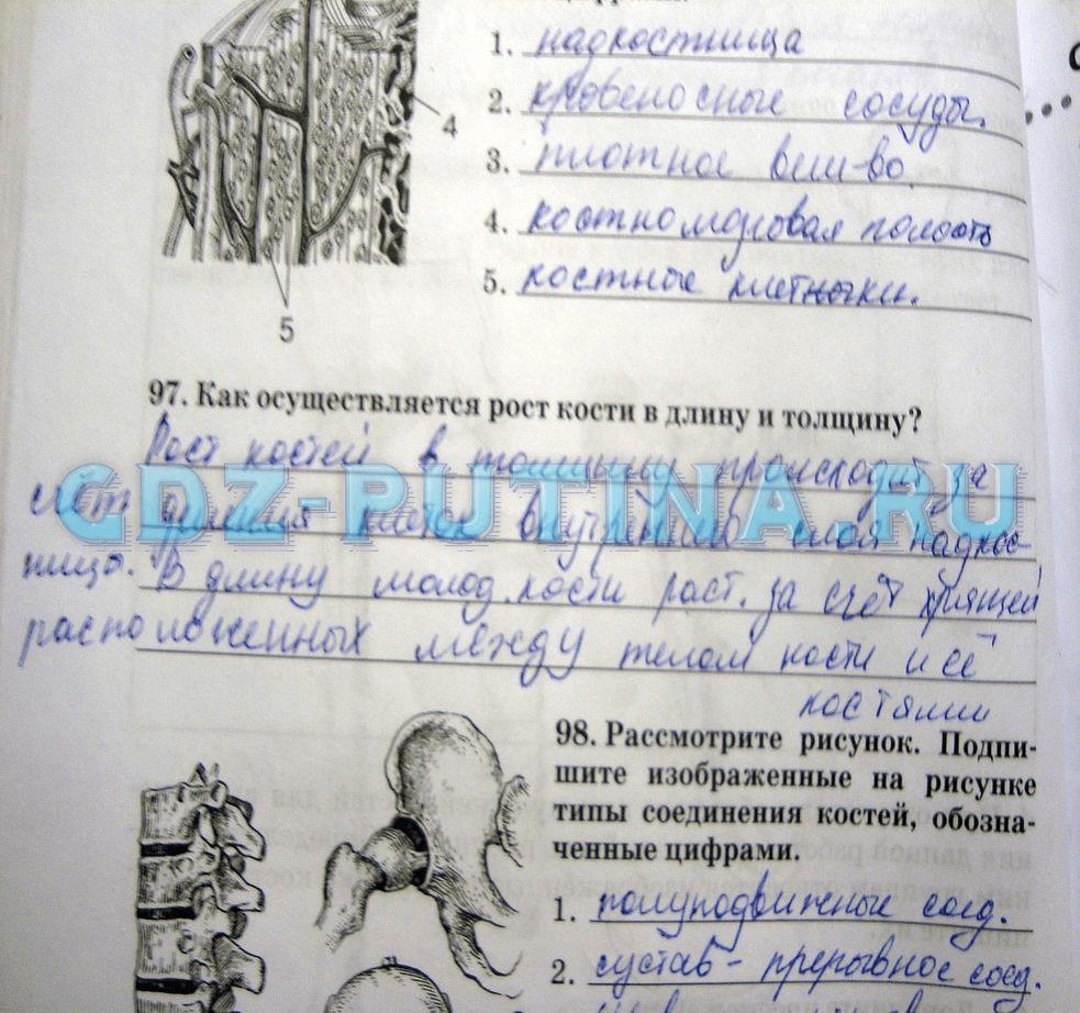 гдз 8 класс рабочая тетрадь задание 97 биология Сонин, Агафонова