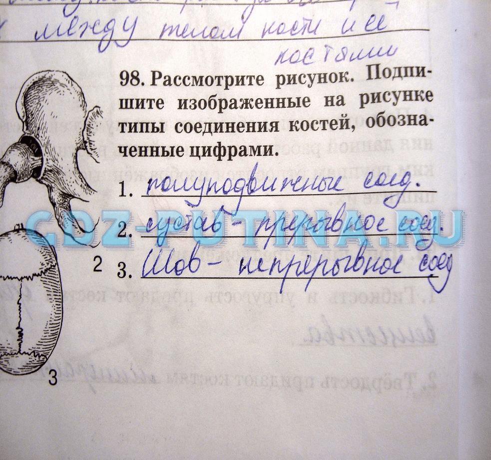 гдз 8 класс рабочая тетрадь задание 98 биология Сонин, Агафонова