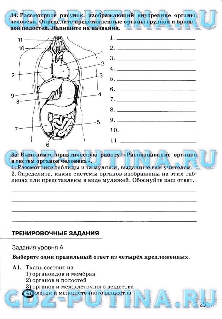 гдз 8 класс рабочая тетрадь страница 25 биология Сонин, Агафонова