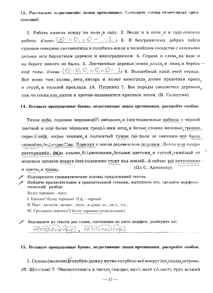 гдз 9 класс рабочая тетрадь часть 3 страница 17 русский язык Богданова