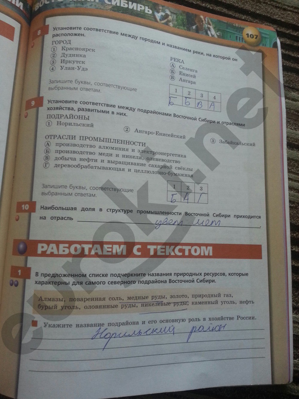 гдз 9 класс тетрадь-тренажер страница 107 география Ходова, Ольховая