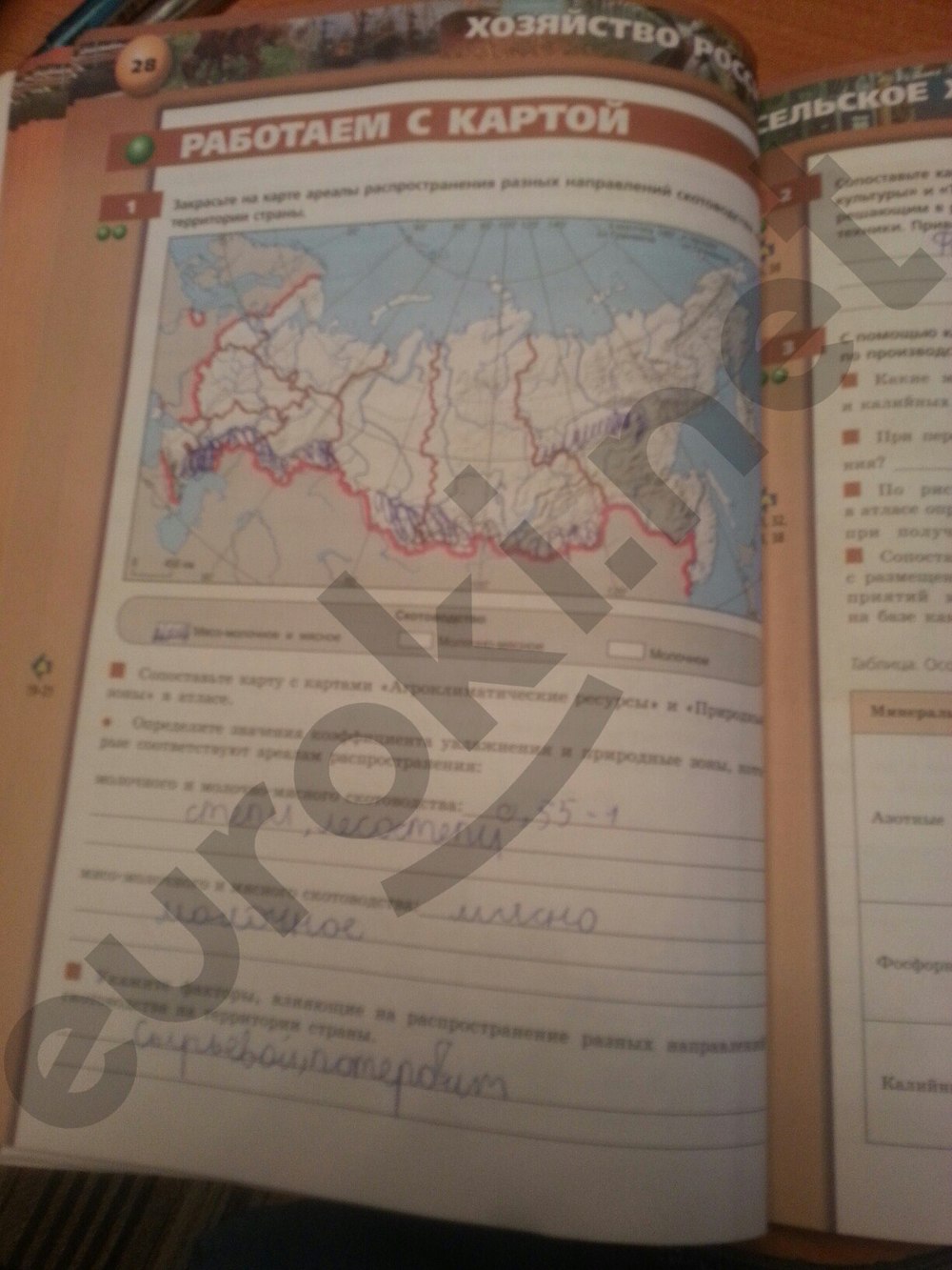 гдз 9 класс тетрадь-тренажер страница 28 география Ходова, Ольховая