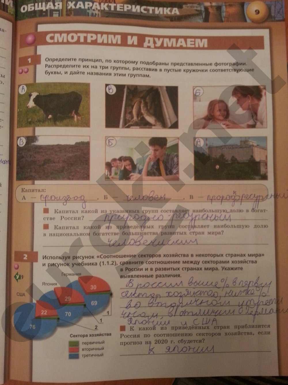 гдз 9 класс тетрадь-тренажер страница 9 география Ходова, Ольховая