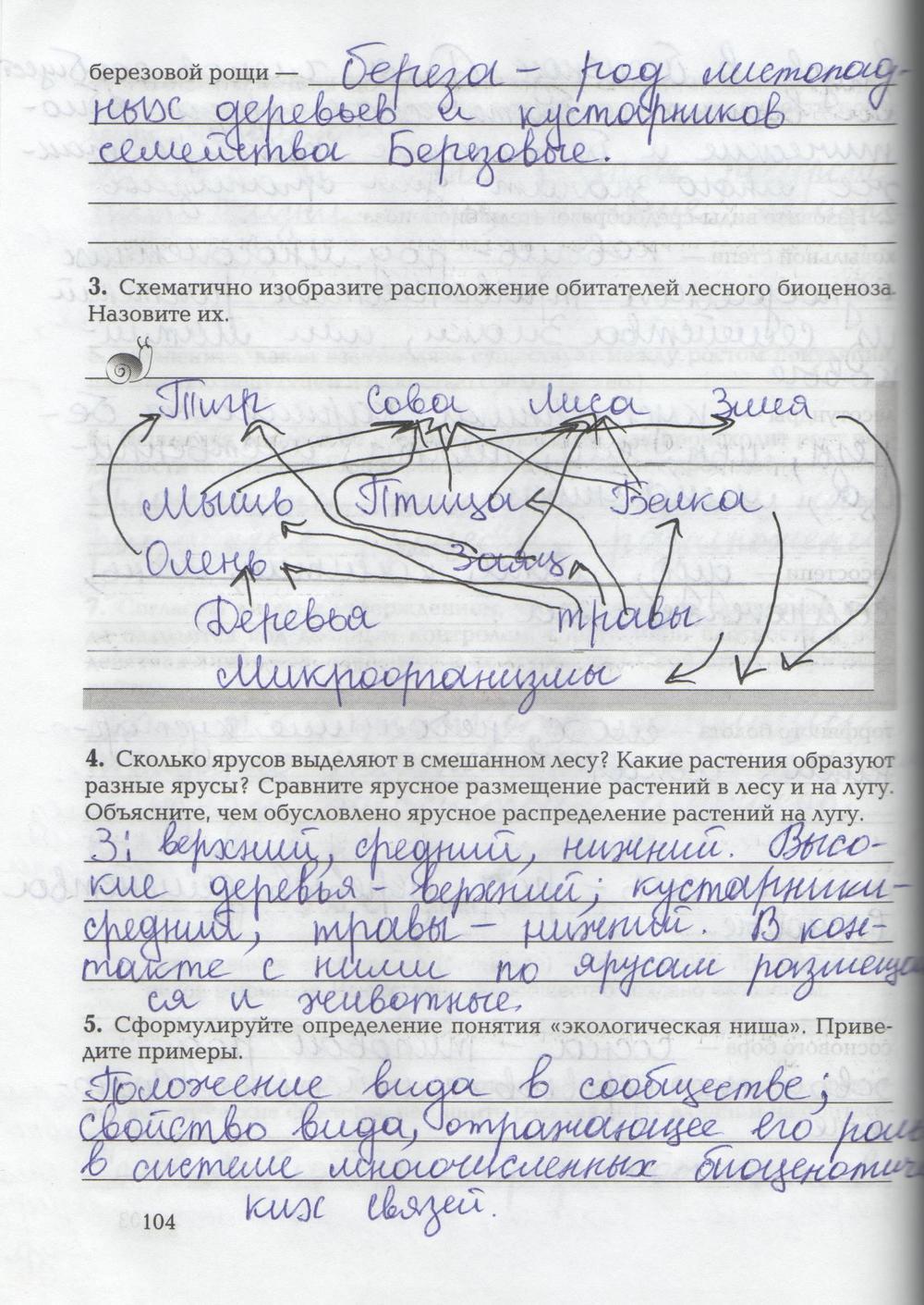 гдз 9 класс рабочая тетрадь страница 104 биология Козлова, Кучменко