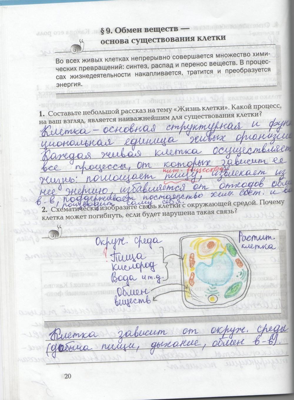 гдз 9 класс рабочая тетрадь страница 20 биология Козлова, Кучменко