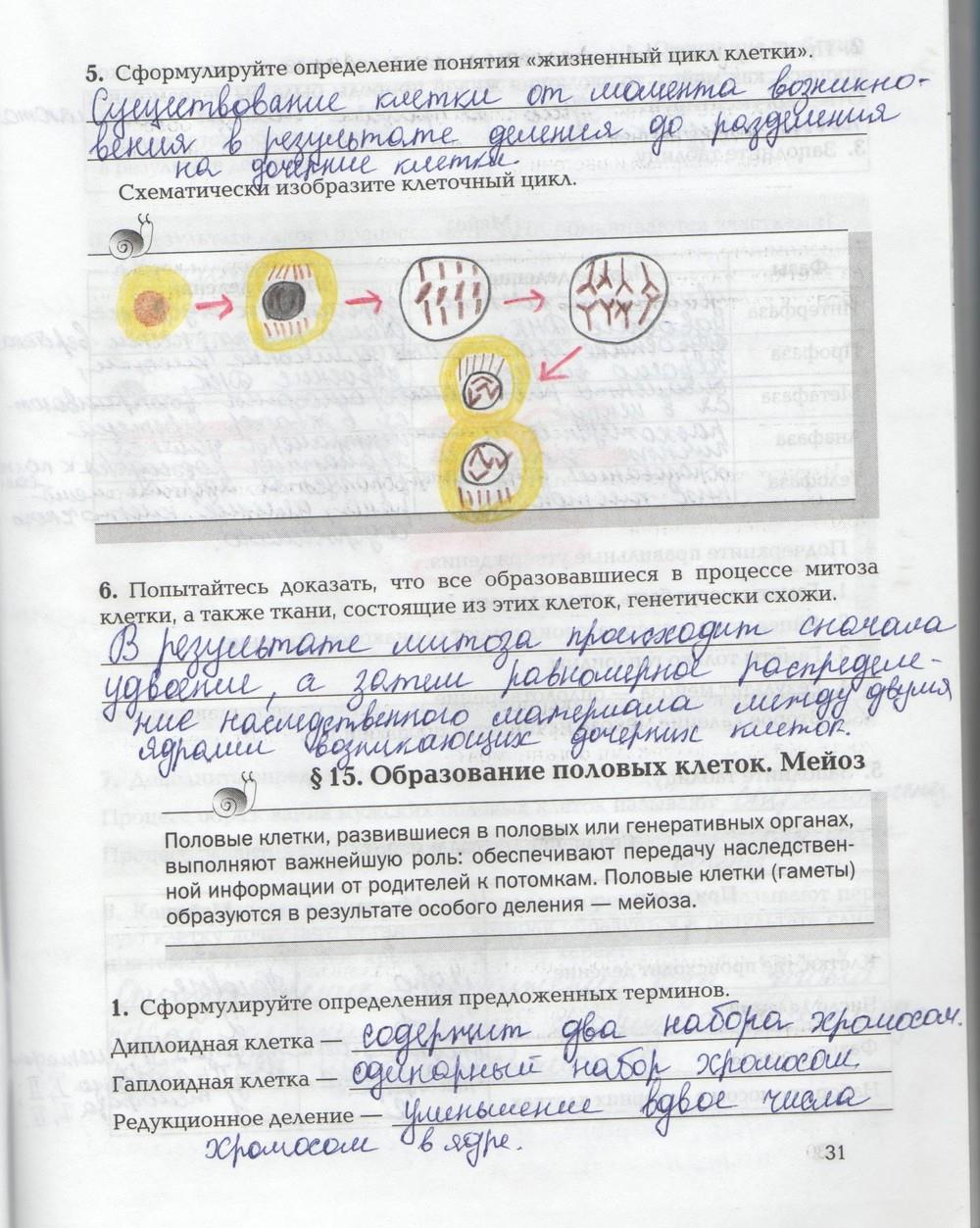 гдз 9 класс рабочая тетрадь страница 31 биология Козлова, Кучменко