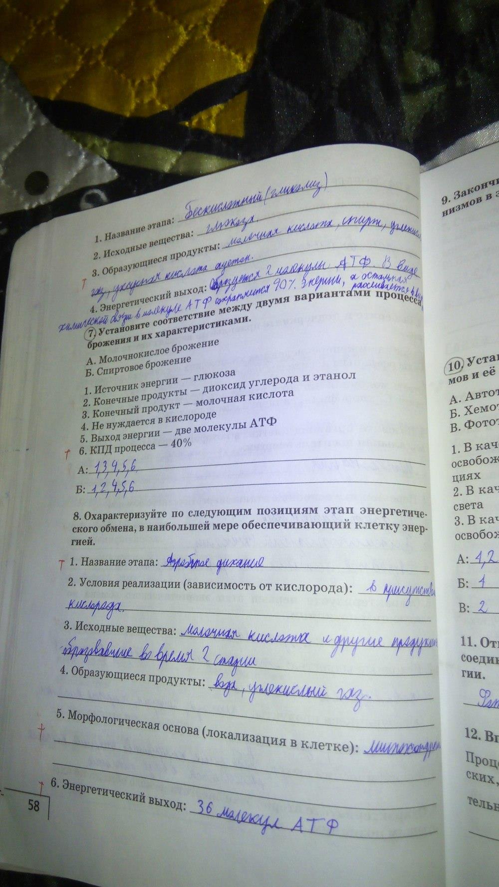 гдз 9 класс рабочая тетрадь страница 58 биология Мамонтов, Захаров