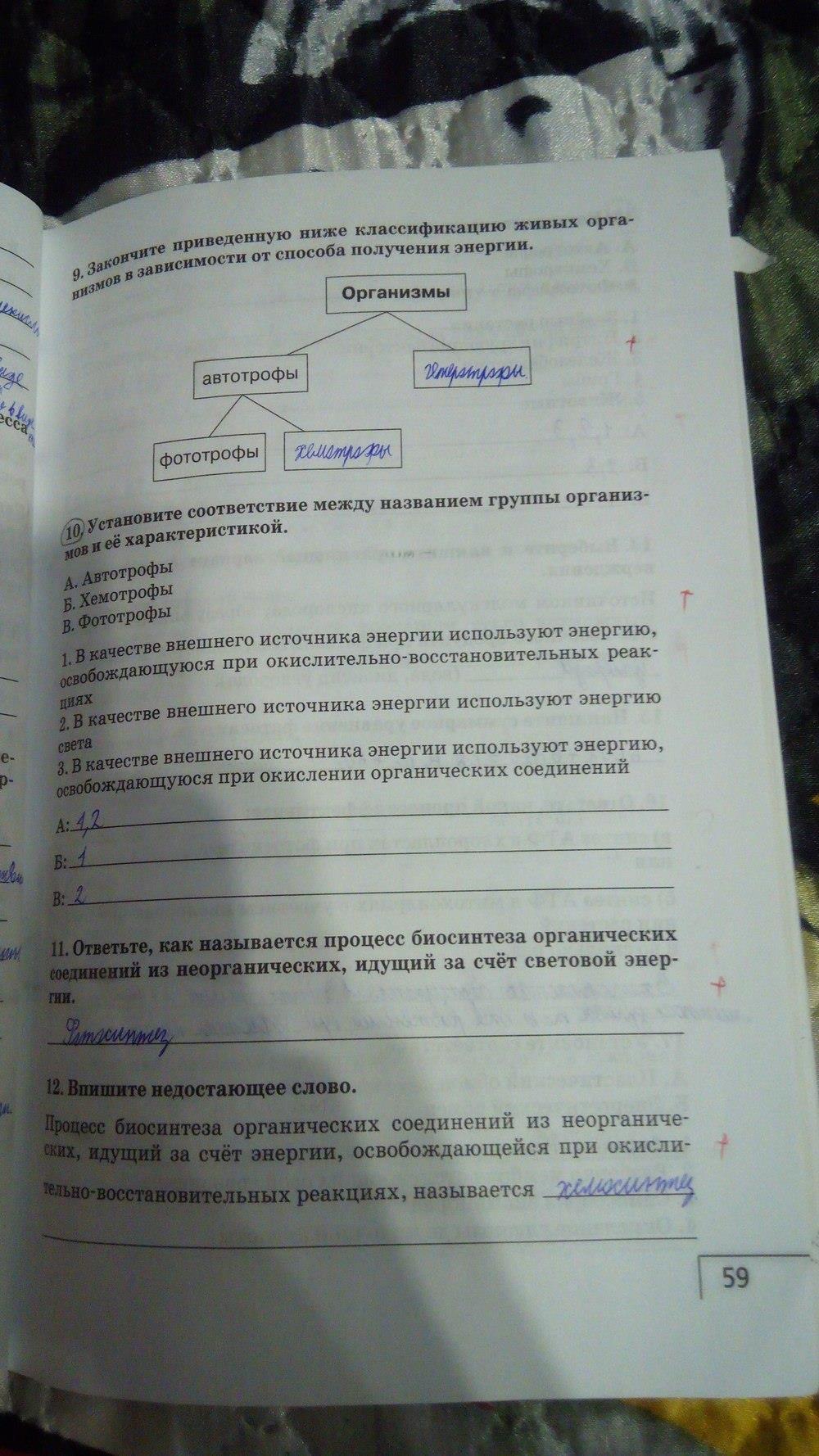 гдз 9 класс рабочая тетрадь страница 59 биология Мамонтов, Захаров