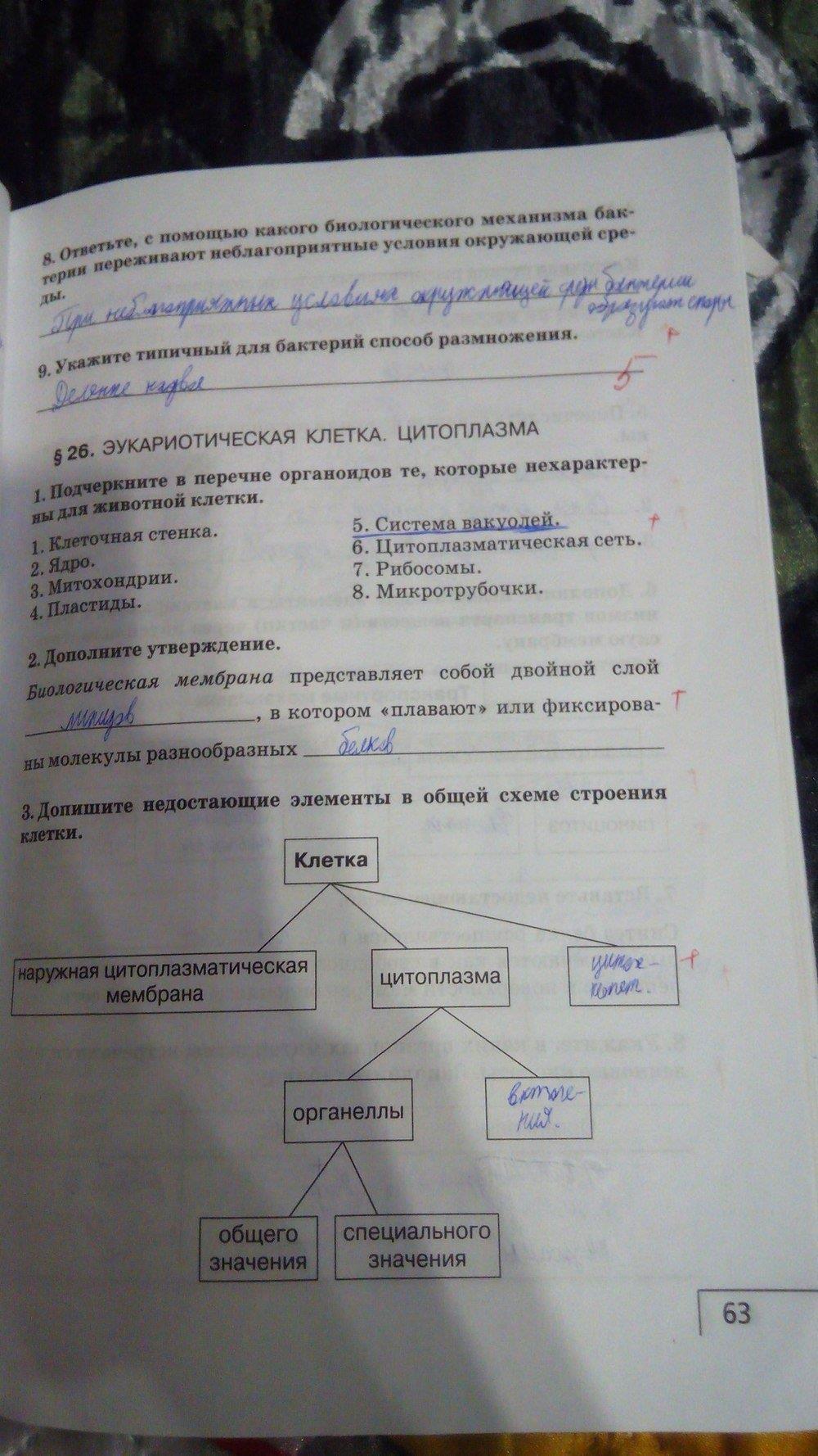 гдз 9 класс рабочая тетрадь страница 63 биология Мамонтов, Захаров