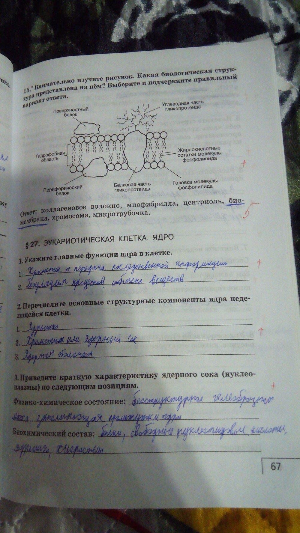 гдз 9 класс рабочая тетрадь страница 67 биология Мамонтов, Захаров