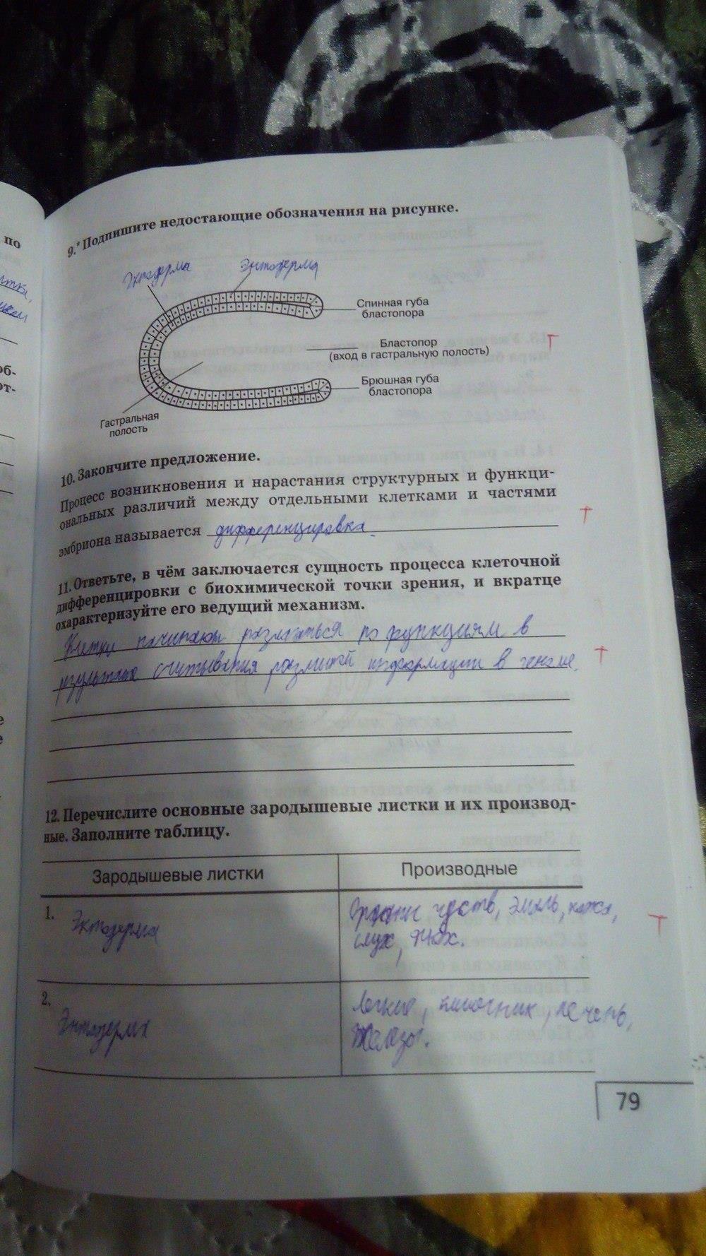 гдз 9 класс рабочая тетрадь страница 79 биология Мамонтов, Захаров