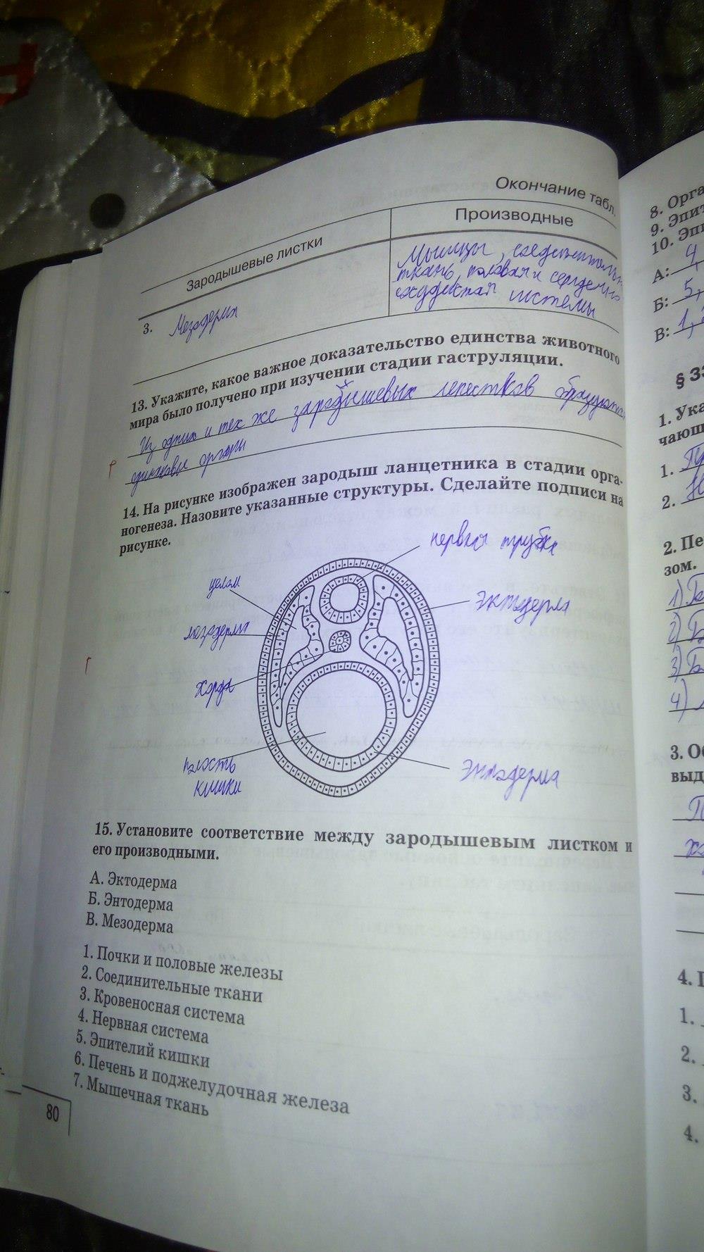 гдз 9 класс рабочая тетрадь страница 80 биология Мамонтов, Захаров
