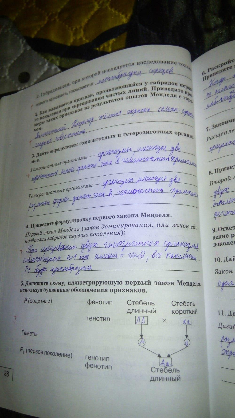 гдз 9 класс рабочая тетрадь страница 88 биология Мамонтов, Захаров