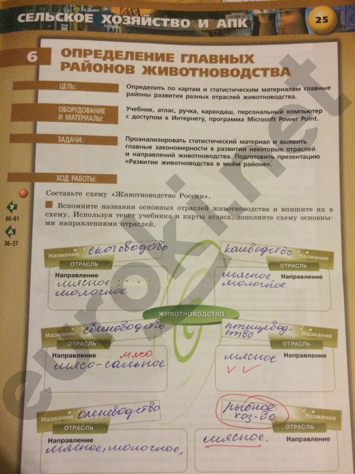 гдз 9 класс тетрадь-практикум страница 25 география Ольховая, Протасова