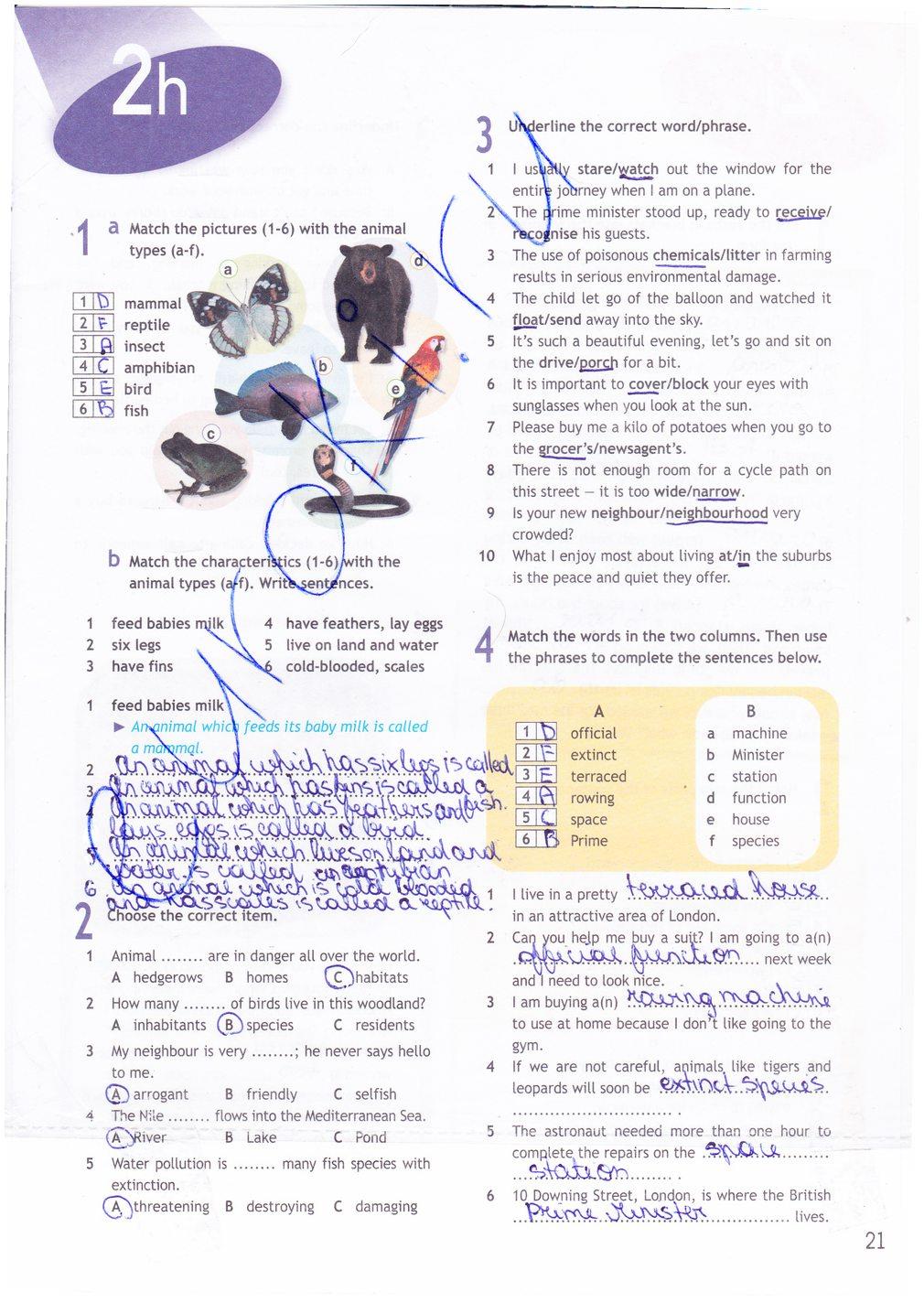гдз 9 класс рабочая тетрадь страница 21 английский язык Ваулина, Дули